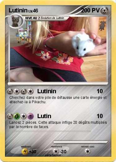 Pokemon Lutinin