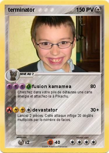Pokemon terminator
