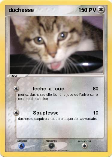 Pokemon duchesse