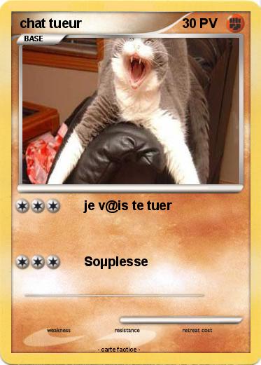 Pokemon chat tueur