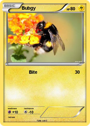 Pokemon Bubgy