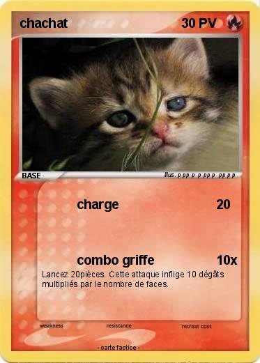 Pokemon chachat