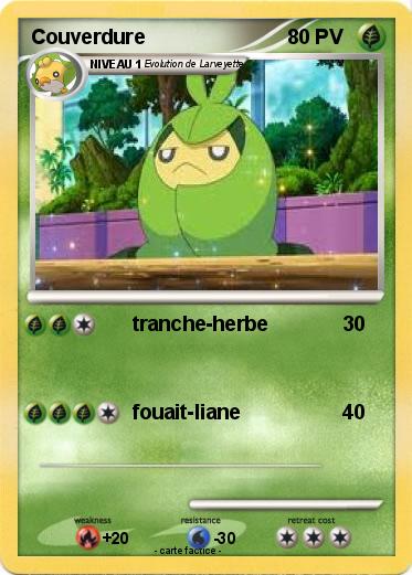 Pokemon Couverdure