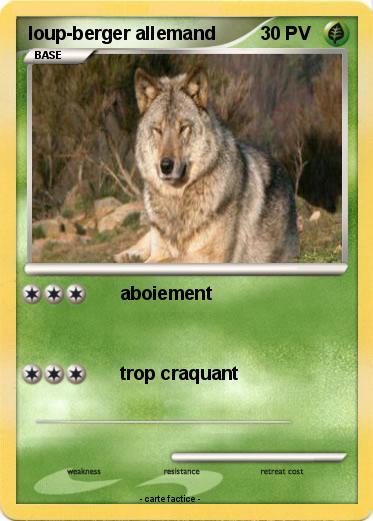 Pokemon loup-berger allemand