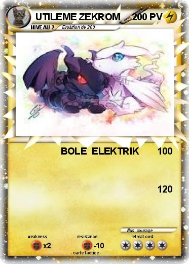 Pokemon UTILEME ZEKROM