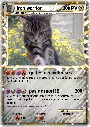 Pokemon iron warrior