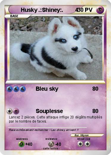 Pokemon Husky .:Shiney:.        4