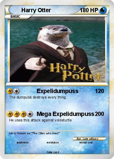 Pokemon Harry Otter