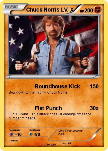 Pokemon Chuck Norris LV. X