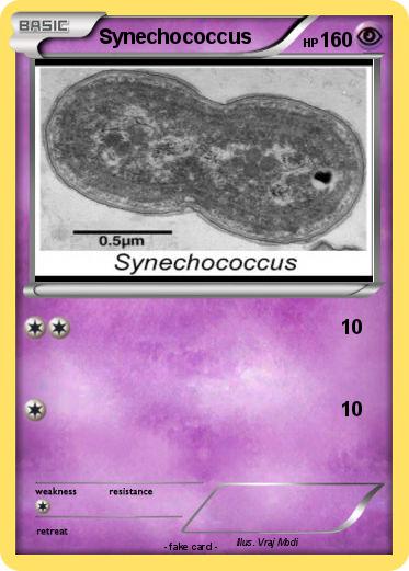Pokemon Synechococcus