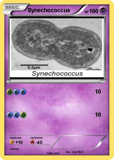 Pokemon Synechococcus