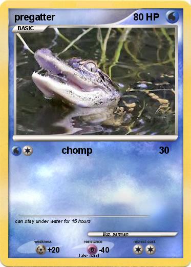 Pokemon pregatter