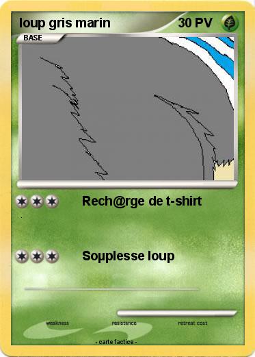 Pokemon loup gris marin