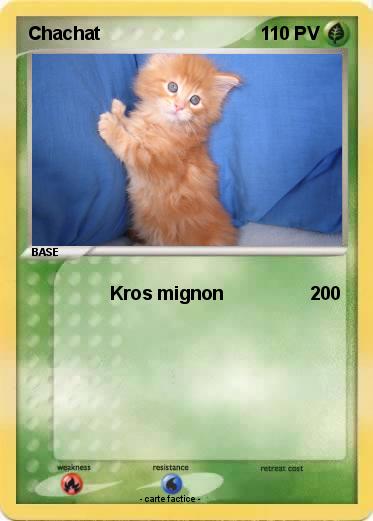 Pokemon Chachat