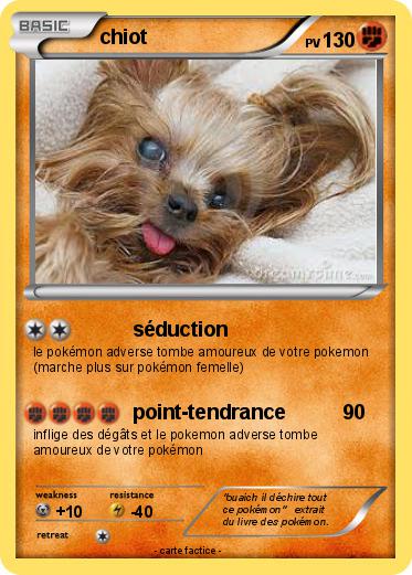 Pokemon chiot