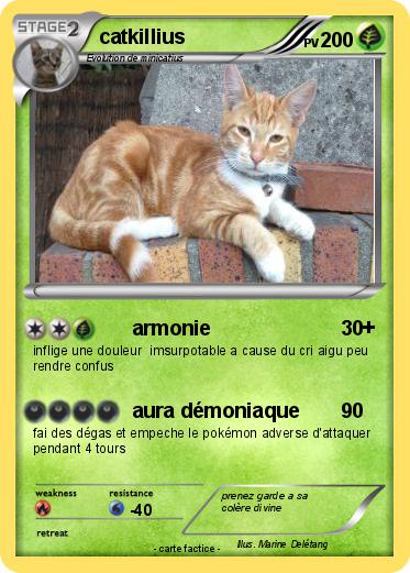 Pokemon catkillius