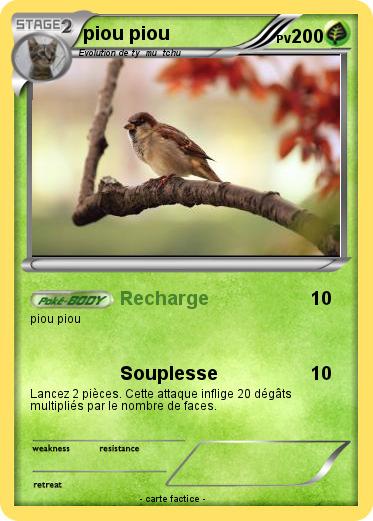 Pokemon piou piou