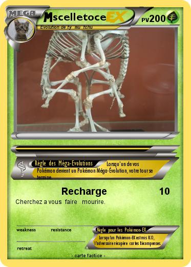 Pokemon scelletoce