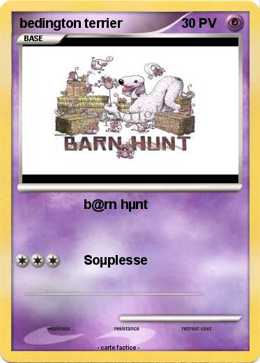 Pokemon bedington terrier