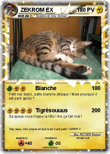 Pokemon ZEKROM EX