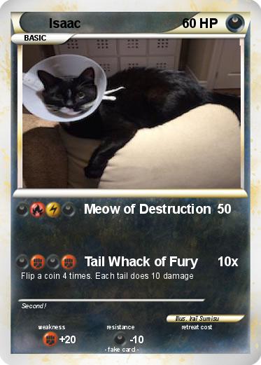 Pokemon Isaac
