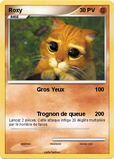 Pokemon Roxy