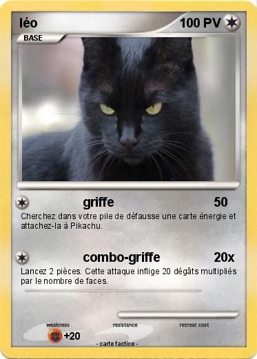 Pokemon léo