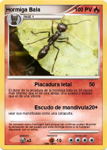 Pokemon Hormiga Bala