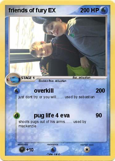 Pokemon friends of fury EX