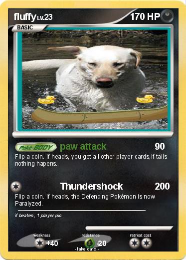 Pokemon fluffy