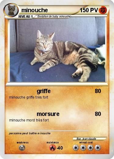 Pokemon minouche