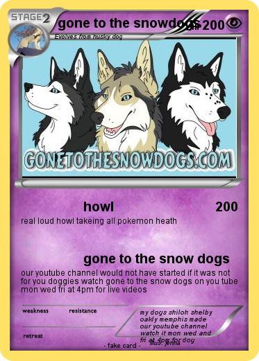 Pokemon gone to the snowdogs