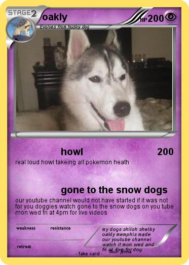 Pokemon oakly