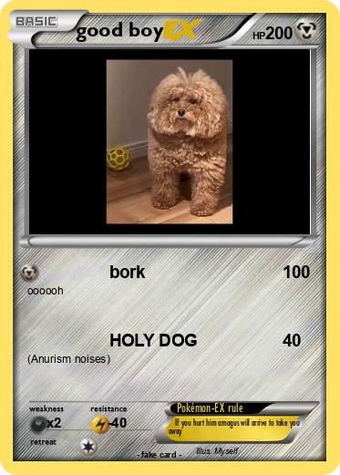 Pokemon good boy
