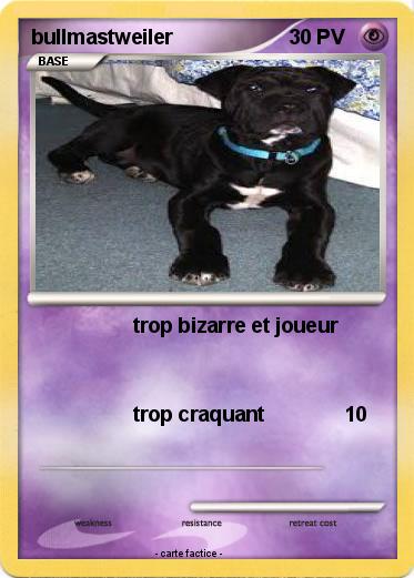 Pokemon bullmastweiler