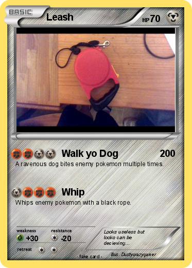 Pokemon Leash