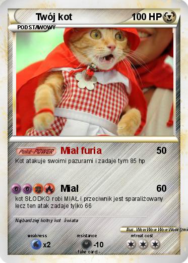 Pokemon Twój kot