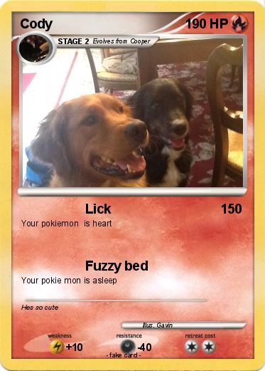 Pokemon Cody