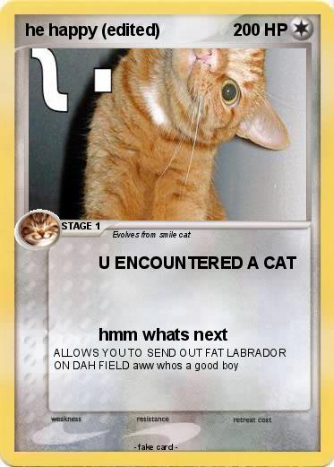 Pokemon he happy (edited)