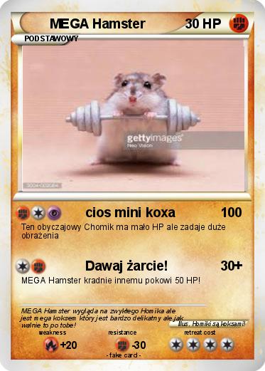 Pokemon MEGA Hamster