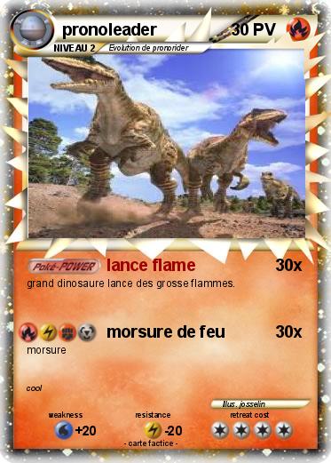 Pokemon pronoleader