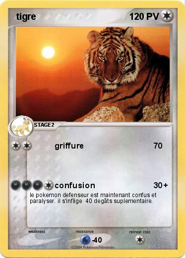 Pokemon  tigre