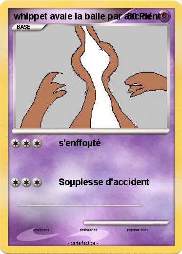 Pokemon whippet avale la balle par accident