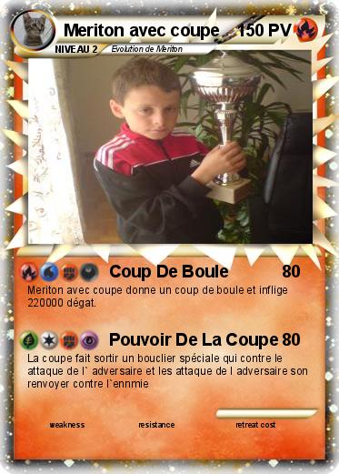 Pokemon Meriton avec coupe