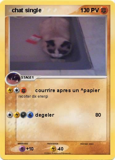 Pokemon   chat single