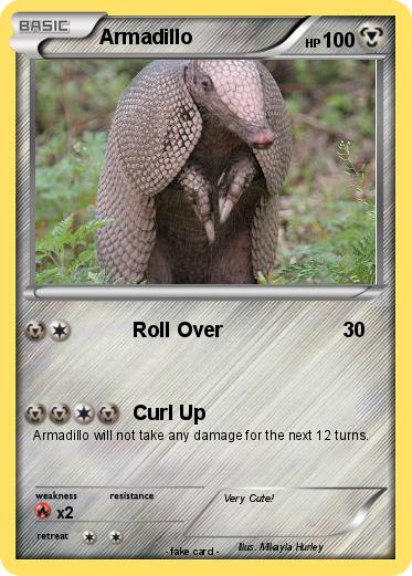 Pokemon Armadillo