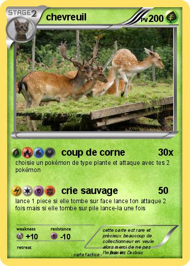 Pokemon chevreuil