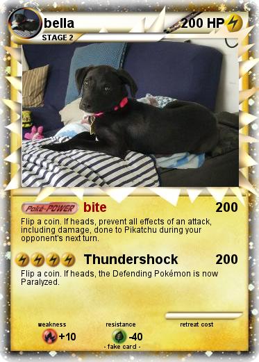 Pokemon bella