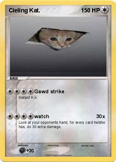 Pokemon Cieling Kat.                                               