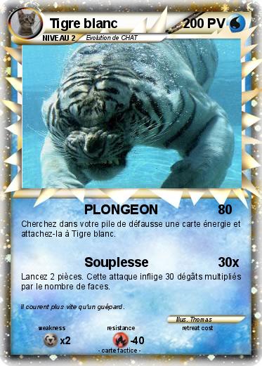 Pokemon Tigre blanc